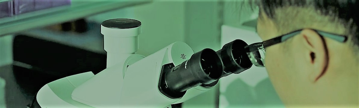 Doctoral degree: Anesthesiology, Surgical Sciences, and Perioperative Medicine